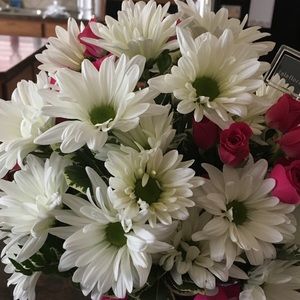 Meet your Posher, Joan